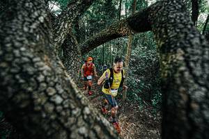 BIB: 
                            <button type="button" onclick="openModal(25392018)" class="btn btn-primary btn-sm float-right btn-popup" data-toggle="modal" data-target=".modal-high-quality">
                        <i class="fas fa-shopping-cart"></i> Add to Cart
                    </button>
                                            <button type="button" onclick="isThisMe(25392018, true)" class="btn btn-success btn-sm float-right btn-popup btn-isme hidden" data-toggle="tooltip" data-placement="bottom" title="นี่คือรูปของคุณใช่ไหม คลิกที่นี่เพื่อเอาเข้าอัลบั้ม">
                        <i class="fas fa-plus"></i> Add to album
                    </button>
                    <button type="button" onclick="isThisMe(25392018, false)" class="btn btn-warning btn-sm float-right btn-popup btn-isnotme hidden">
                        <i class="fas fa-ban"></i> Remove from album
                    </button>